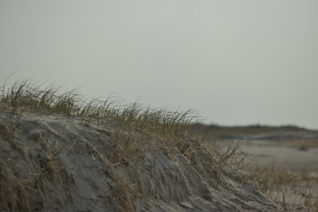 Free Nature Beach photo and picture