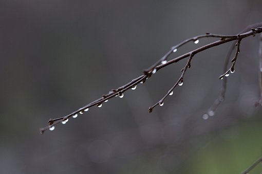 Free Spring Weather photo and picture