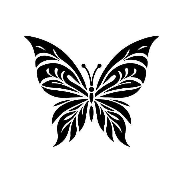 Free Butterfly Insect illustration and picture