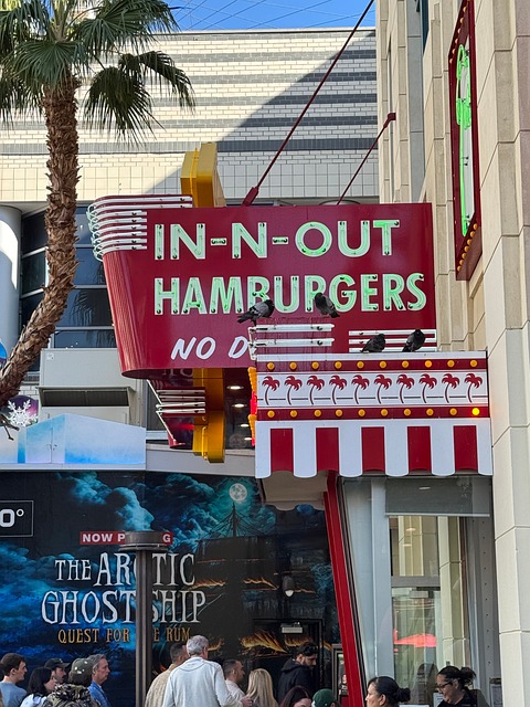 Free Las Vegas Innout Burger photo and picture