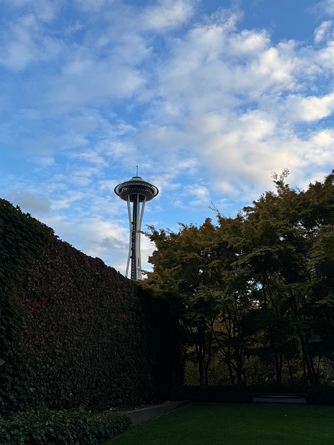 Free Space Needle Seattle photo and picture