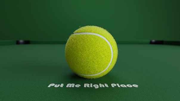 Free Board Ball photo and picture