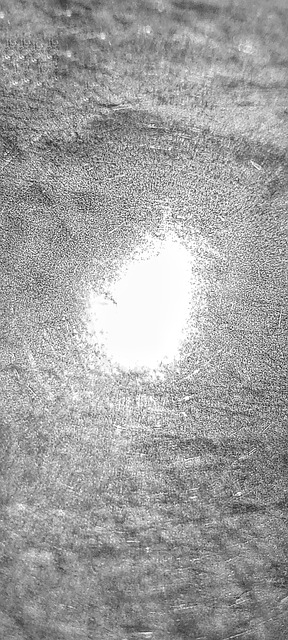Free Shadow Focus photo and picture