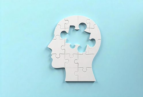 Puzzle, Casse-Tête De La Tête Humaine
