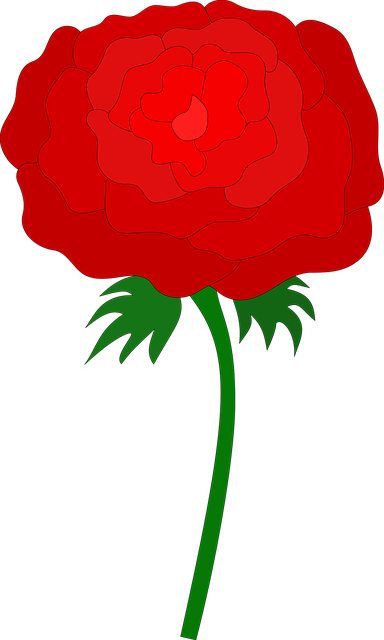 Free Flower Rose vector and picture