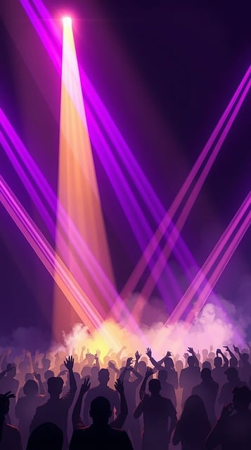 Free Concert Crowd illustration and picture
