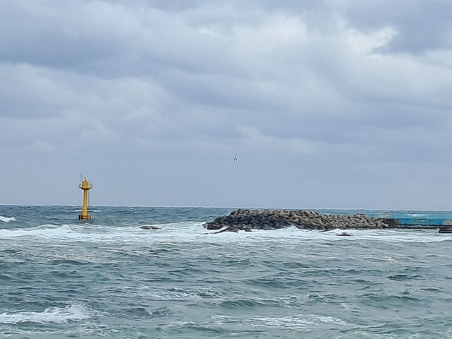 Free Lighthouse Ocean photo and picture