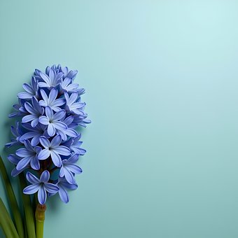 Free Ai Generated Flower illustration and picture