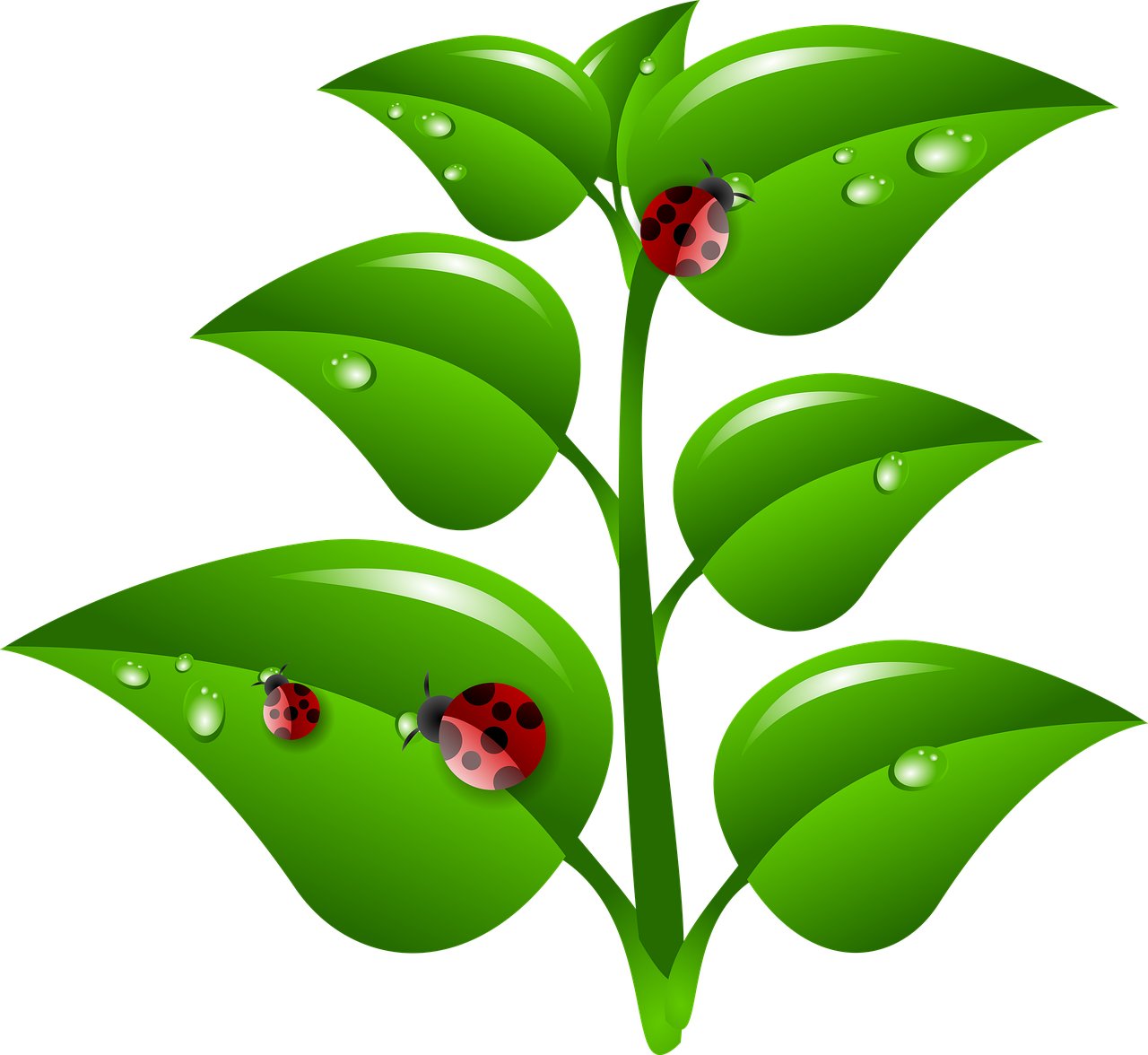 Download Plants Nature Red Royalty Free Stock Illustration Image Download plants nature red royalty free stock illustration image