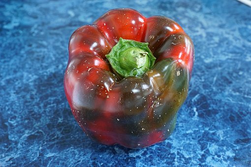 Free Capsicum Bell Pepper photo and picture