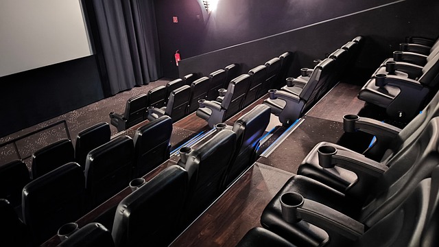 Free Movie Theater Cinema Hall photo and picture