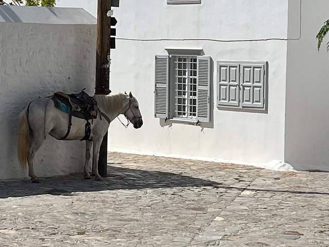 Free Hydra Greece photo and picture