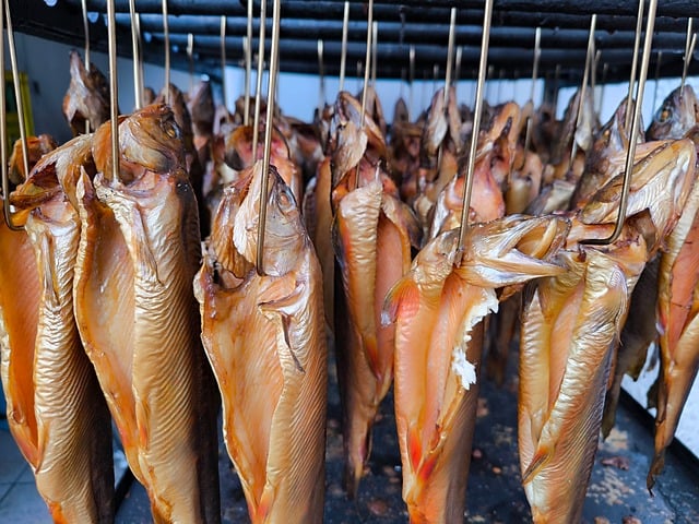 Free fish smoked fish nature illustration