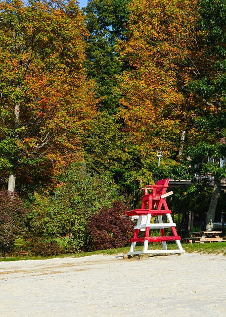 Free Fall Autumn photo and picture