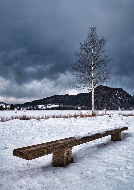 Free Bank Winter photo and picture