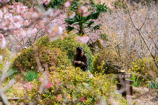 Free Woman Garden photo and picture