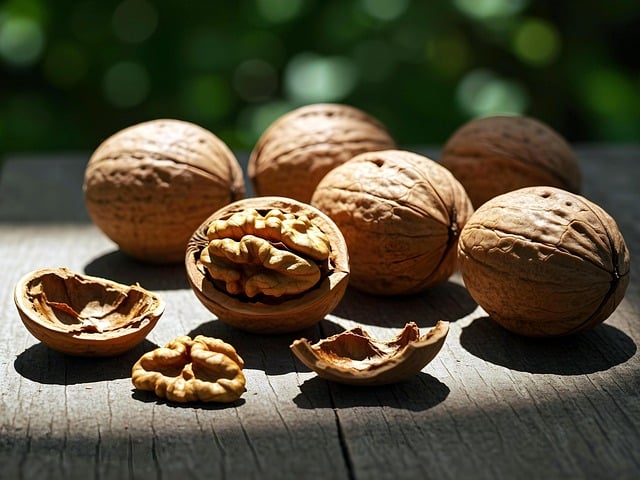 Free nuts walnuts fruit illustration