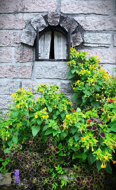 Free Window Castle photo and picture