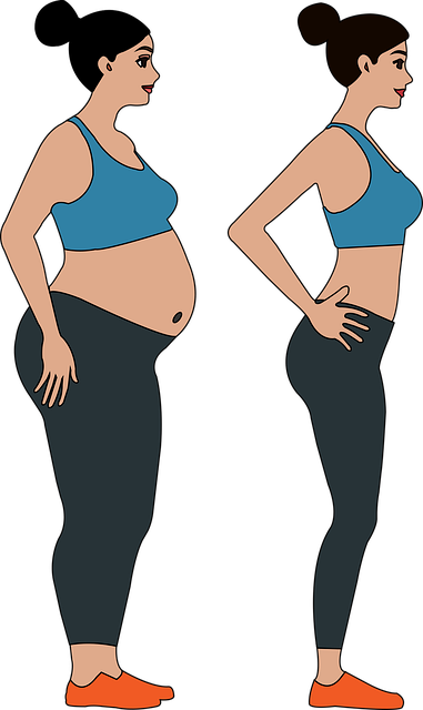 Free Weight Loss Success Vector Art - Download 1,274+ Weight Loss ...