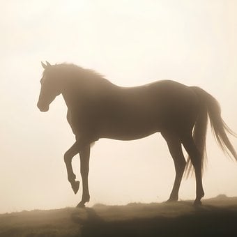 Ai Gerado, Cavalo, Silhueta, Névoa