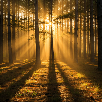 Free Ai Generated Golden Sunlight illustration and picture