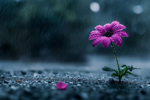 Free Ai Generated Flower illustration and picture