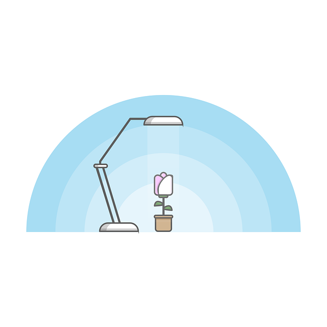 Free Desk Lamp Plant vector and picture