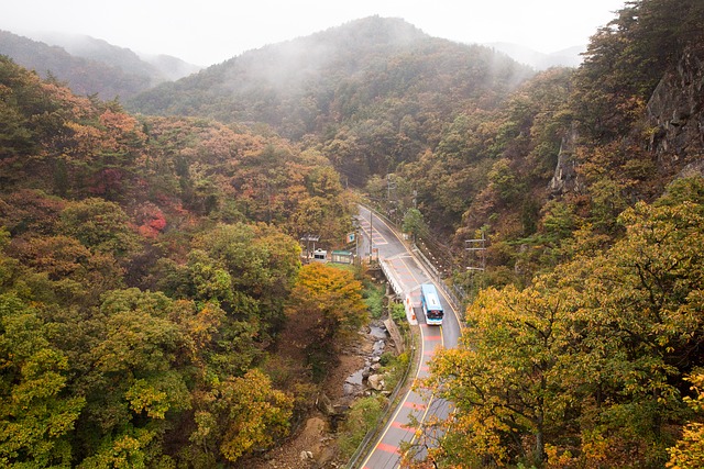 Korea, Sydkorea, Rejse, Seoul