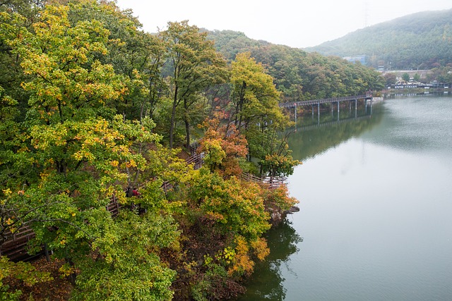 Seoul, Rejse, Korea, Pocheon Art Valley