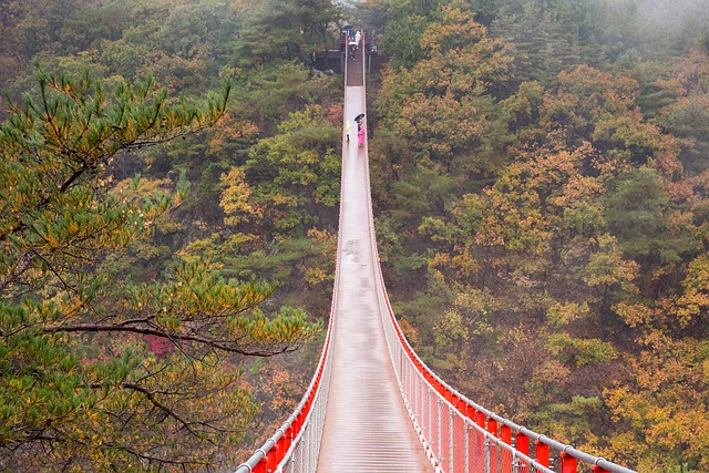 Seoul, Rejse, Korea, Sydkorea