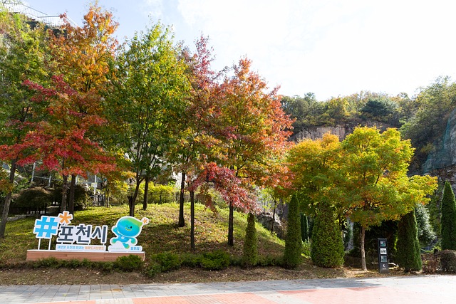 Seoul, Rejse, Korea, Pocheon Art Valley