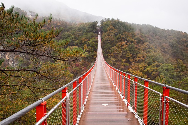 Sydkorea, Rejse, Seoul