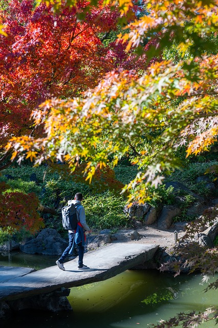 Free Autumn Garden photo and picture