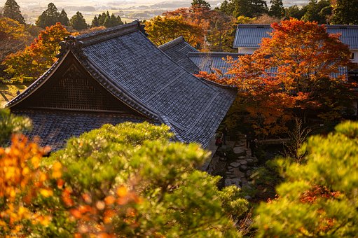 Free Autumnal Leaves Temple photo and picture