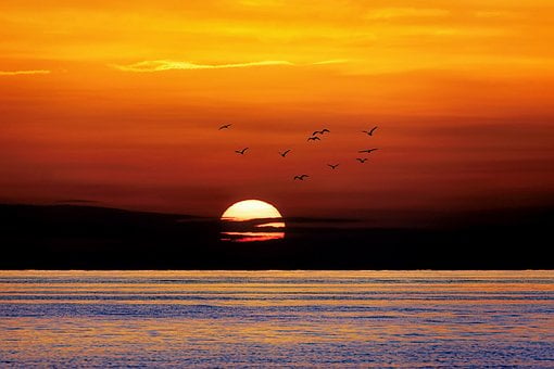 Free Sunset Sea photo and picture