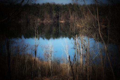 Free Lake Trees photo and picture