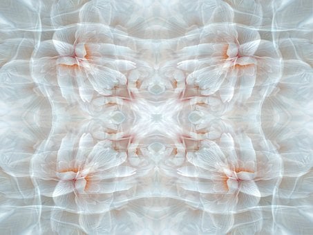 Fractaal, Patroon, Abstract, Textuur
