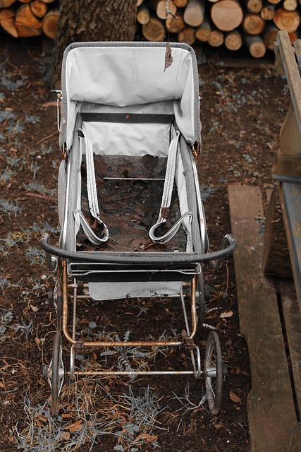 Kinderwagen, Lost, Sepia, Alt, Antik