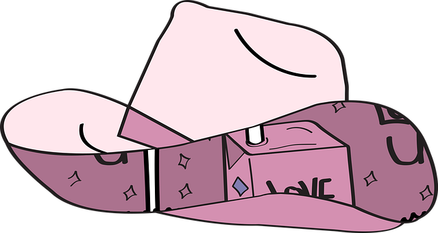 Free Cowgirl Hat vector and picture