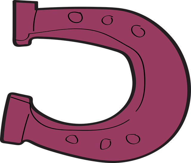 Free horseshoe horse wild west vector
