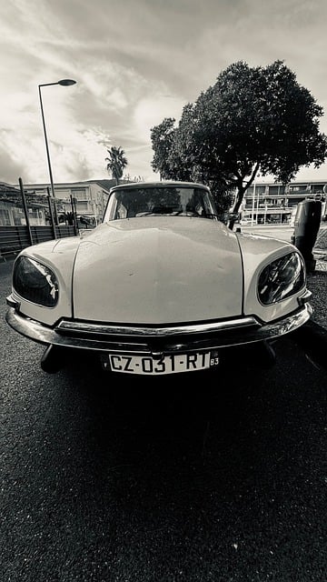 Старожил, Citroën, Дс, Машина