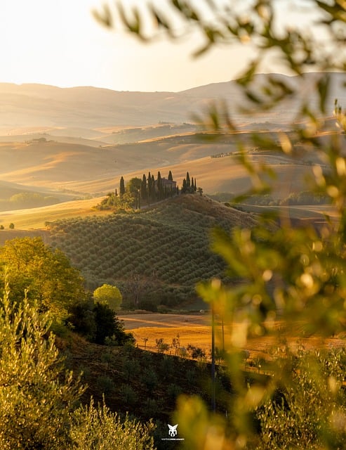 Free Tuscany Italy photo and picture