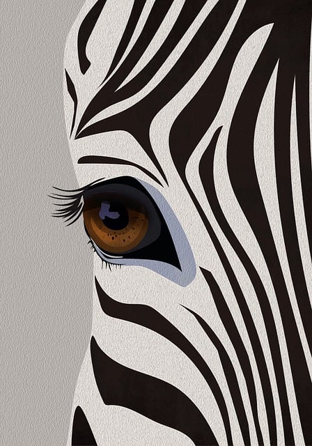 Zebra, Natur, Streifen, Wild, Afrika