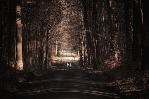 Free Forest Sports photo and picture