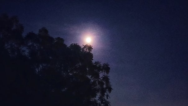 Måne, Natt, Himmel, Endret, Ekte, Bilde