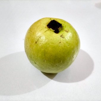 Free Fruit Apple photo and picture