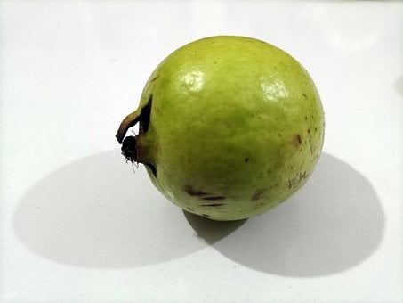 Free Fruit Apple photo and picture