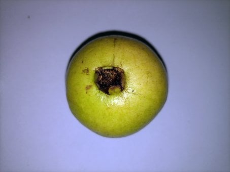Free Fruit Apple photo and picture