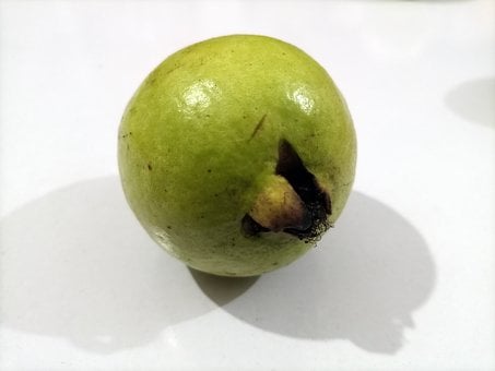 Free Fruit Apple photo and picture