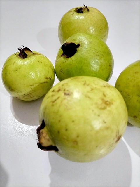 Free Fruit Apple photo and picture